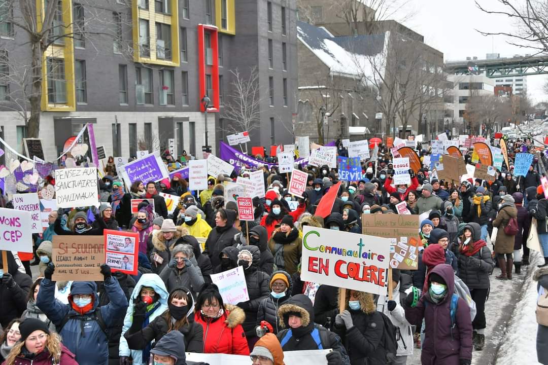Manifestation communautaire à Montréal en février 2022